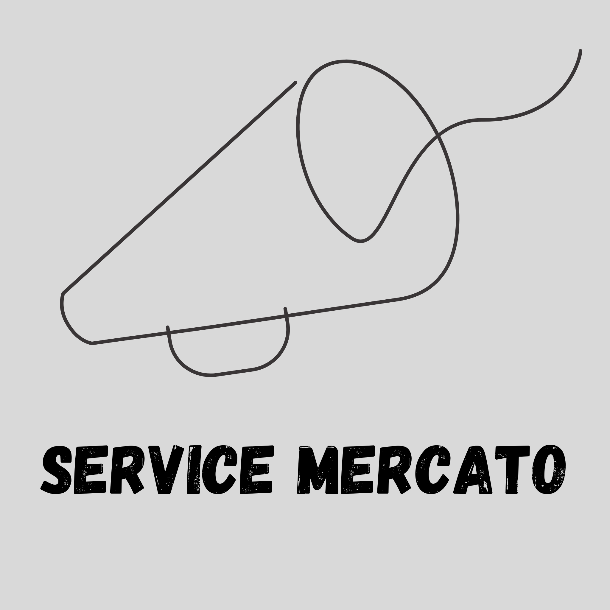 Service Mercato LLC